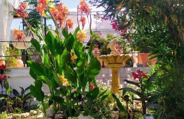 Traditional house at Pelion seaside - Foto 19