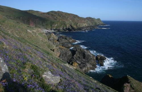 Apple Barn - Foto 24