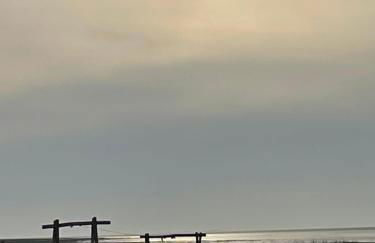 Minikrabbe - Foto 28