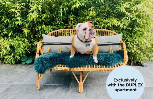 La Petite Adresse du 10Honfleur - Foto 11