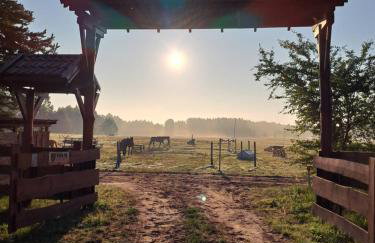 Stajnia Małszewo - Photo 18