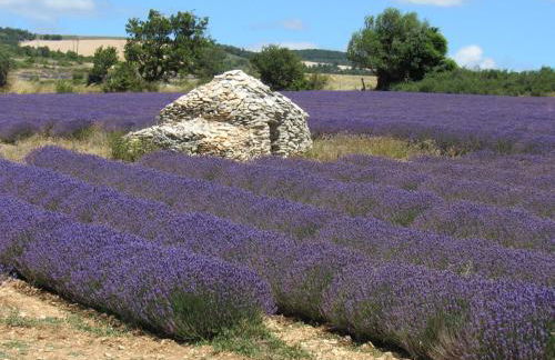 Résidence de gîtes La Sidoine du Mont-Ventoux - Foto 76