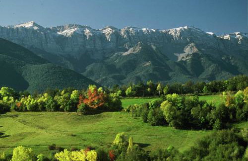 Cal Pedrals - Foto 7