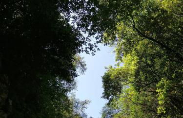 TRE METR SOPRA IL CIELO ''AcquAria'' - Foto 68