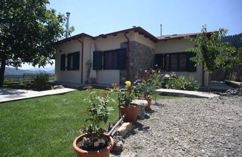 Morchella MushROOM - Foto 17