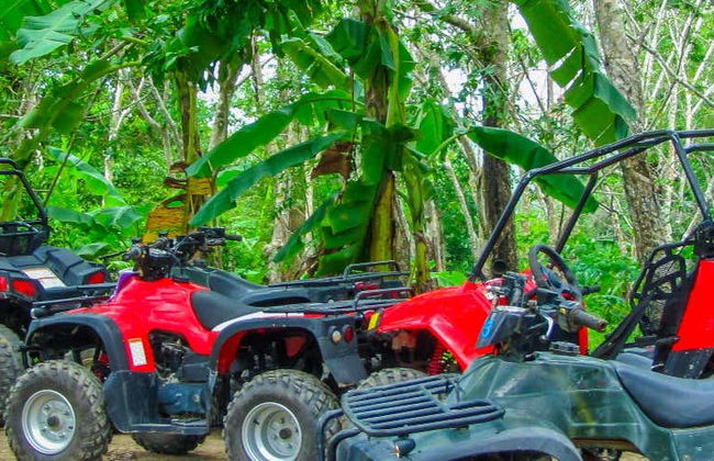 Tour di Phuket in quad - Foto 1