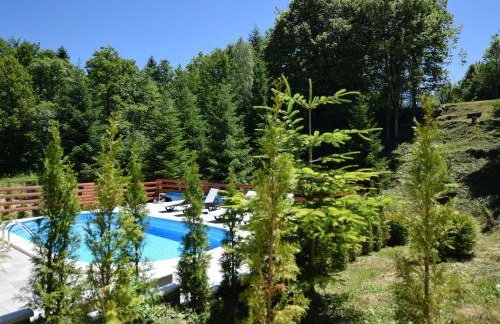 Holiday Home in Brod Moravice with Pool - Foto 21