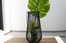 Sweet San Francisco - Photo 7