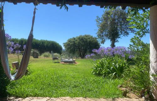 Cottage da Fonte Seca - Foto 11