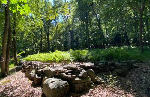 Historic Sears River Home (Main Level) on 10 Acres - Foto 8