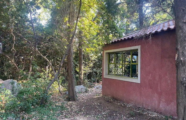 Atelier Bravačić - Foto 16