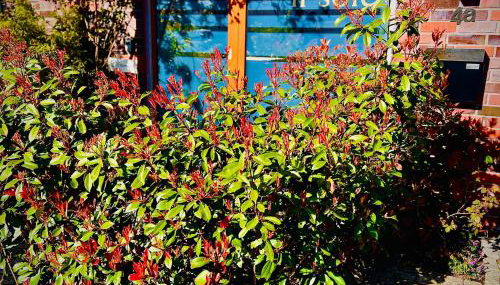 Schöne Aussichten mitten in Berlin - il sole - Foto 4, Garden