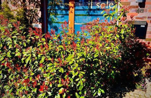 Schöne Aussichten mitten in Berlin - il sole - Photo 4