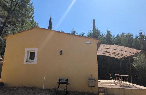 Pavillon La Ruine - Foto 28