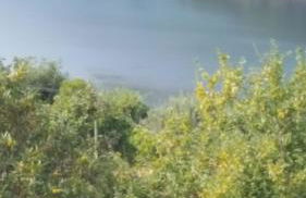 Cantinho da Pedra - Foto 42