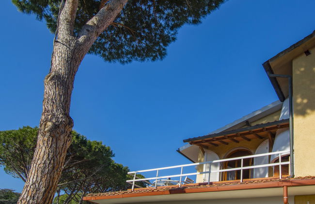 Duna Marina - Foto 24