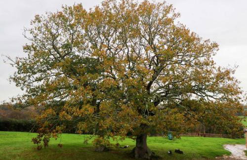 Red House Common View - Foto 13