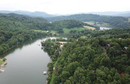 Majestic Manor - Peaceful Modern Cabin Retreat Near Watauga Lake - Photo 11