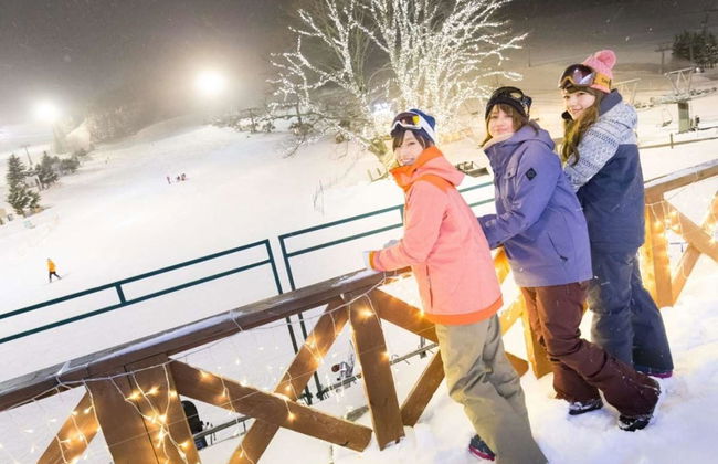 Naeba Prince Hotel - Photo 6