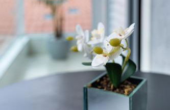 Heart of the Beach Praia 2m Real 5m B Flórida - Photo 28