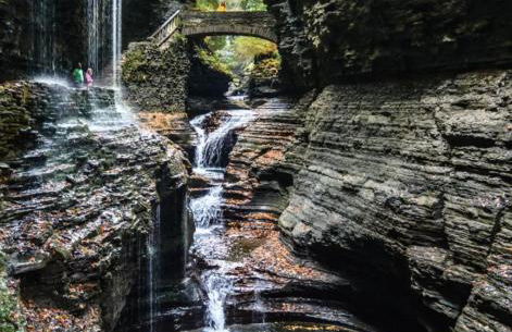 Walk To Parks, Dining & Lake! Game Room! Hot Tub! - Foto 17