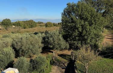 Giardino degli ulivi - Foto 47