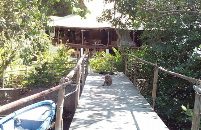 Bahay Isla Sanctuario - Foto 28