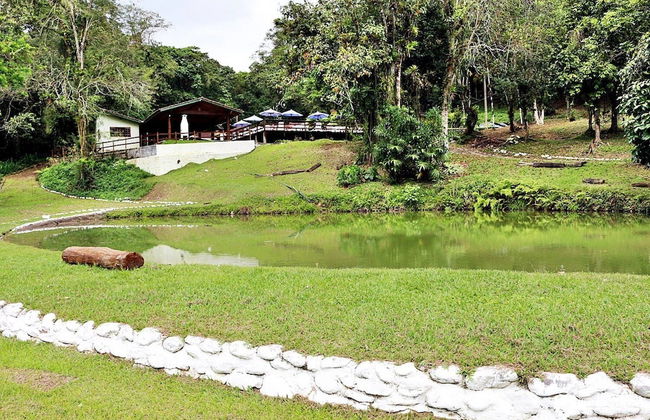 Eco Chalés Luar das Marés - Foto 32