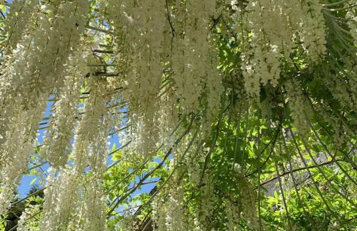 Madeleine: Luxury Villa in Italy - Foto 45