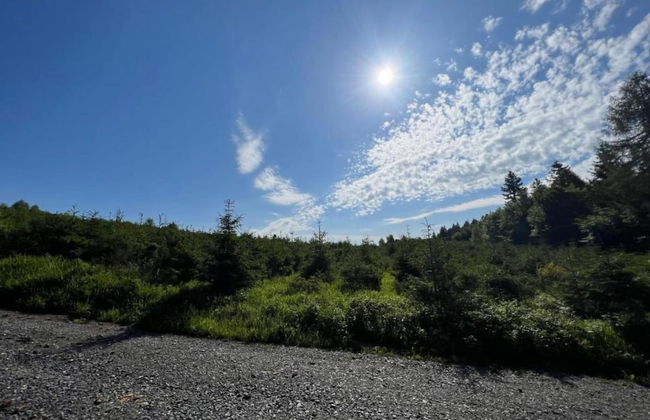 Chalet in Sauerland Near Winterberg Ski Area - Foto 20
