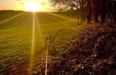 Sunny Hill Cottage Milford with fabulous views near Belper Duffield - Foto 10