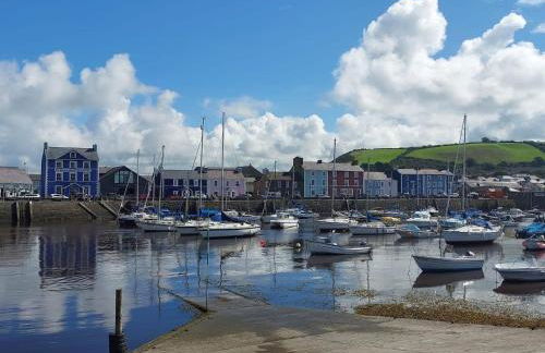 Nant Meigan, Georgian Townhouse in centre of Aberaeron, dog friendly - Foto 17