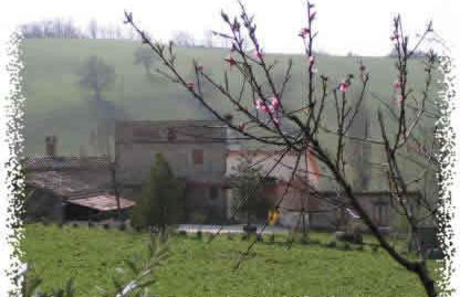 B&B Caselunghe - Foto 49