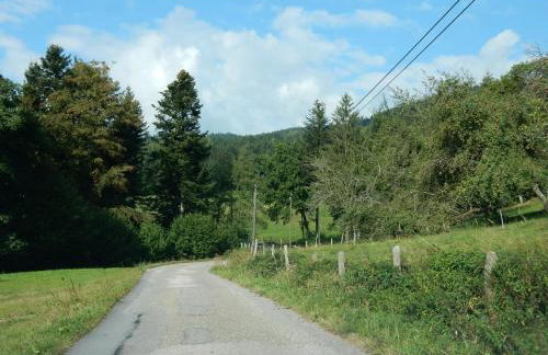 Holiday Home Vagney near Ski Gérardmer - Photo 29