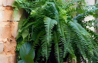 Casa Central Salloto di Anita Laguna - Photo 49