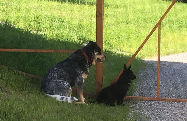 Agriturismo la Derta - Photo 23