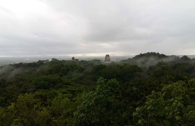 Private Excursions from Flores - Photo 3