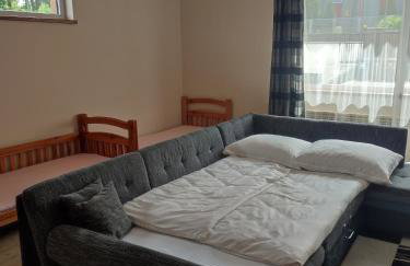 Pokój gościnny w Twardorzeczce - Foto 4