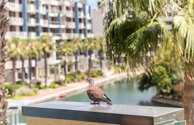 204 Juliette A, Waterfront Marina Residential - Photo 42