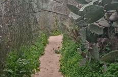 le Boucanier - Foto 64