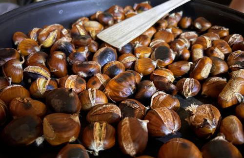 Apartment with a terrace Forest Home Lullula - Photo 53