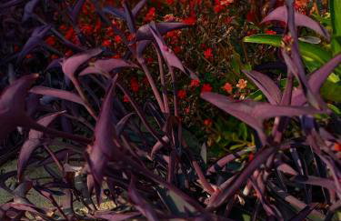 Casa Bella Tiradentes - Photo 35