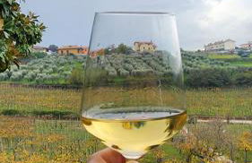 Poggio agli Ulivi vicolo di Colle Reti 22 Frascati - Foto 15