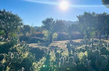 Casa Pipa Alhaurín el Grande - vrijstaande casita met privé zwembad en grote tuin - Photo 36