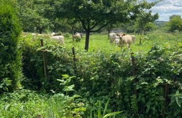La Maison des Vacances, à deux pas de la mer. - Foto 35