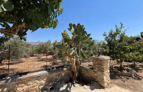 Traditional house Nikos - Foto 22