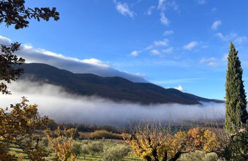 Le Grand Hermas - Foto 20