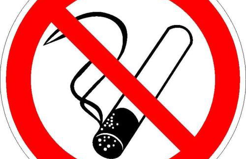 Apartment Birkensteig - Photo 9