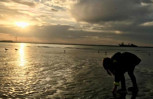LE BARON BUCAILLE appartement face à la mer 300 m de Nausicaa - Foto 34