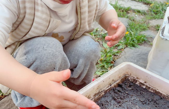 DALI Jade house - Foto 45